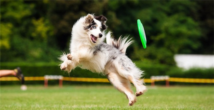 best-selling product-02 201712151506390717