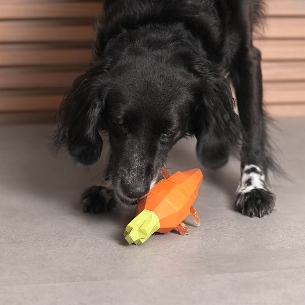 carrot | treat dispensing dog toy carrot | treat dispensing dog toy